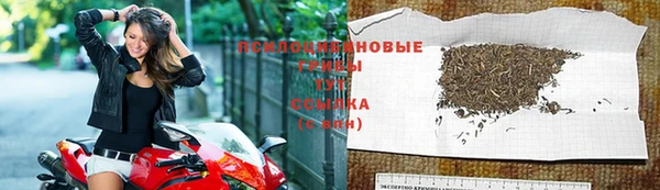 ешки Алексин