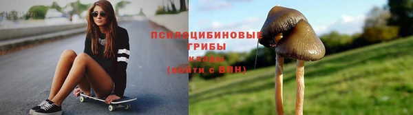 ешки Алексин