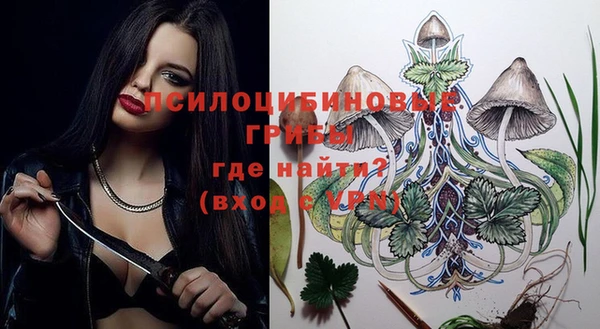ешки Алексин