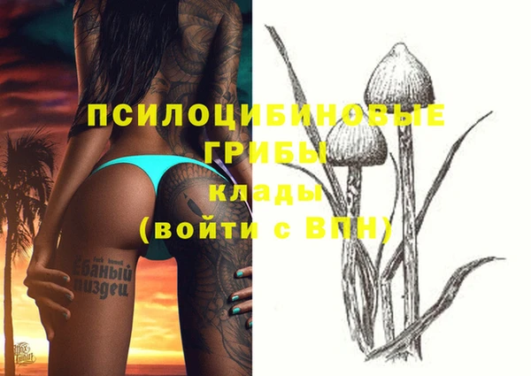 бутират Бежецк
