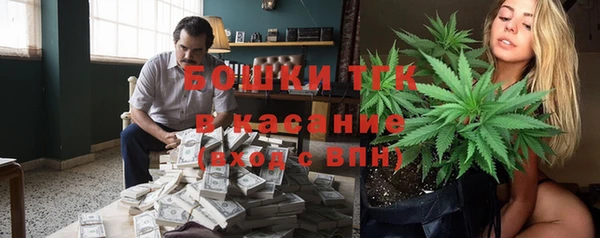 гашик Алзамай