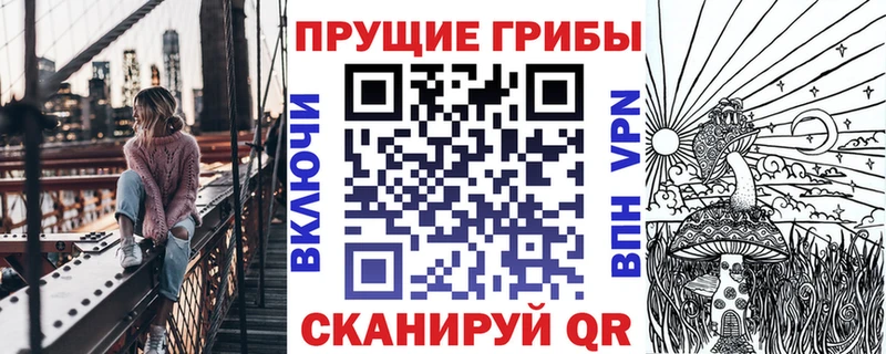 купить наркотик  OMG tor  Псилоцибиновые грибы ЛСД  Славск 